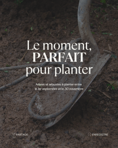 le moment parfait pour planter
