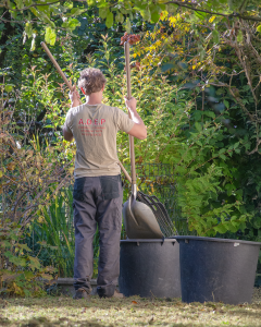 ramassage de feuilles