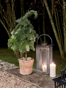 Idées pour décorer votre jardin pour Noël
